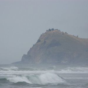 Meet your Posher, Terri